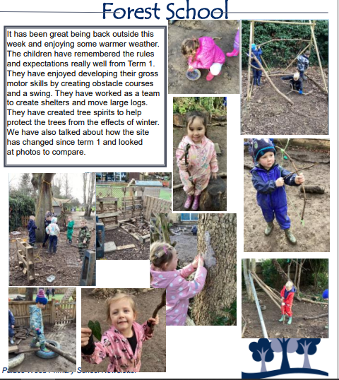 Palace Wood Primary School - Forest School Learning