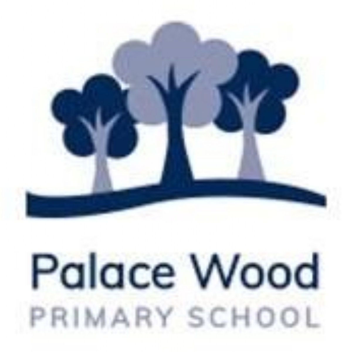 Palace Wood Primary School - Governor Vacancy